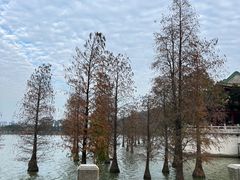 -顺峰山公园