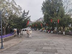 -蒋氏故居