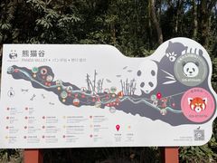 -都江堰中华大熊猫苑