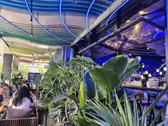 -bluefrog蓝蛙(皇庭广场店)