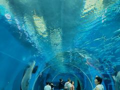-哈尔滨波塞冬海底世界