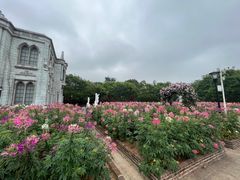 -玫瑰海岸文化旅游度假区