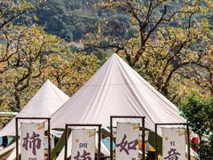 -如意山房柿子树下餐厅