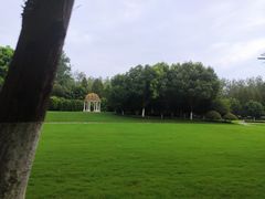 -合肥滨湖国家森林公园