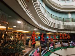 -金龙渔港(双楠店)