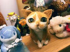 -六月花园咖啡馆(中关村东路店)