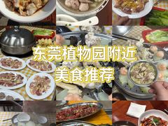 -东莞植物园