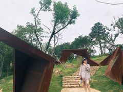 -大塘金香草谷