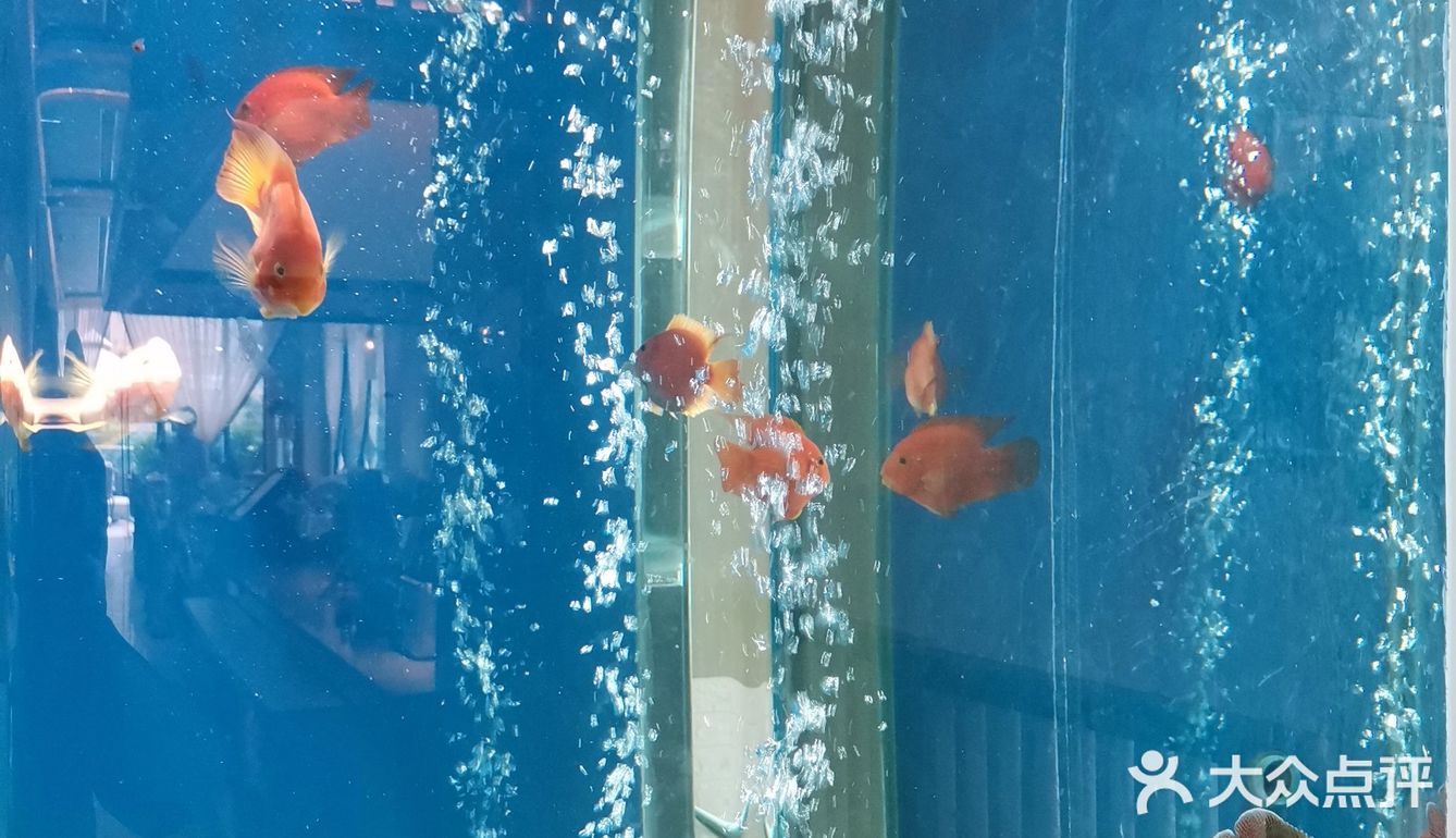 简直是爱了。服务员服务周到细致，赞！