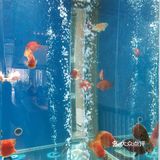 简直是爱了。服务员服务周到细致，赞！