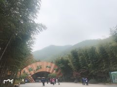 -镇江市南山风景名胜区竹林景区