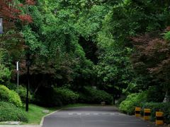 -龟山风景区-龟山电视塔