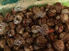 -和源祥·日照菜扛把子(万平口一店)