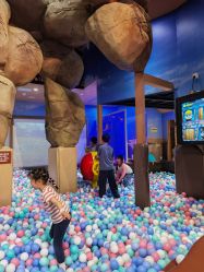 -卡通尼·Safari非洲探索乐园·生日会(金桥国际商业广场店)