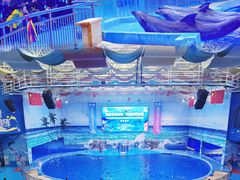 -多彩贵州城极地海洋世界