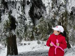 -武陵山森林公园