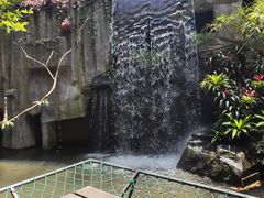 -青青世界