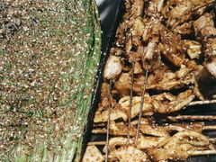 -刘成杰锦州烧烤(南河路店)