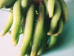 -中环花鸟鱼虫市场