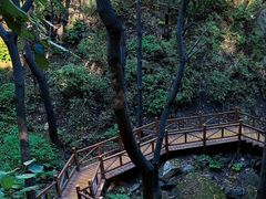 -大岭沟猕猴桃谷风景区