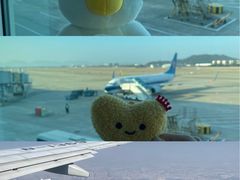 -福州长乐国际机场