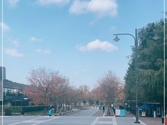 -上海浦东嘉里大酒店