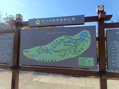 -茅兰沟国家森林公园