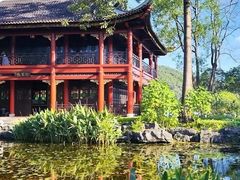 -顺峰山公园