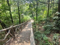 -大雁山风景区