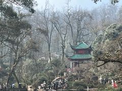 -岳麓山风景名胜区