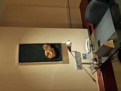 -上海浦东假日酒店