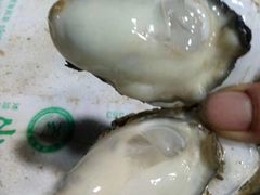 -Oyster Talks 四度蚝法餐厅