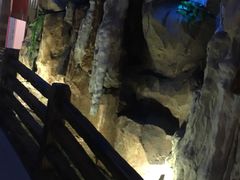 -御池园(顾村公园店)