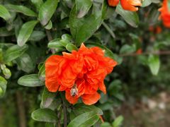 -潘广路(地铁站)