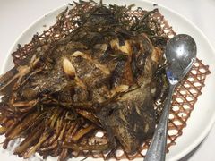 -新吉士·上海菜(浦东LCM置汇旭辉店)