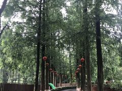 -九墅庭院餐厅(九溪徐村店)