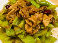 尖椒肥肠-方城小吃店