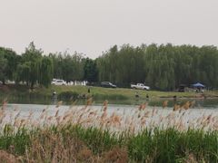-扁鹊湖阿尔卡迪亚国际度假酒店