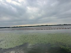 -丁香湖公园