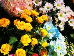 -爱尚幸福鲜花(上地实体店)