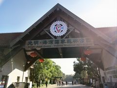 -上海海湾国家森林公园