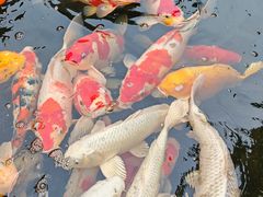 -聚福宝合苑食府(南头镇店)