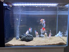 -小怪兽健身(宗关店)