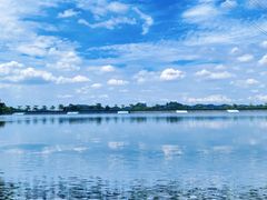 -水濂山森林公园