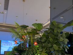 -辛香汇·现炒川菜(城北万象城店)