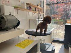-佐罗家宠物馆·猫文化馆(紫霞路店)