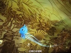 -贝壳梦幻世界