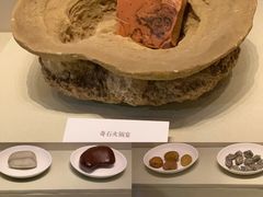 -重庆中国三峡博物馆(重庆博物馆)