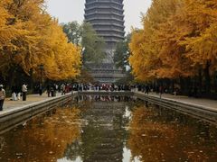 -玲珑塔公园
