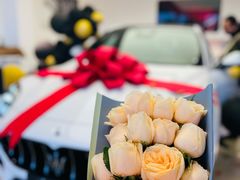 -上海保利玛莎拉蒂和阿尔法罗密欧(华翔路店)